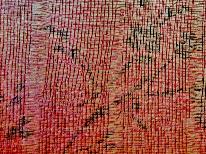 PAPEL DE FIBRA NATURAL